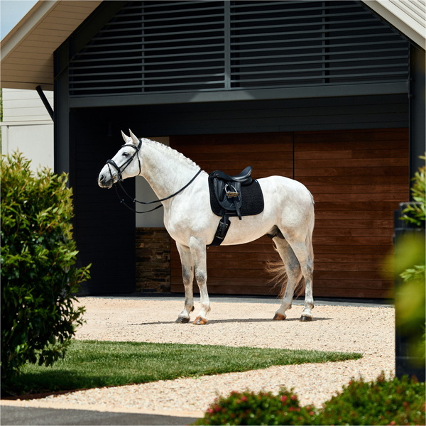 2026 WeatherBeeta Suede Elite Air-Tec Dressage Saddle Pad 1030346 - Black